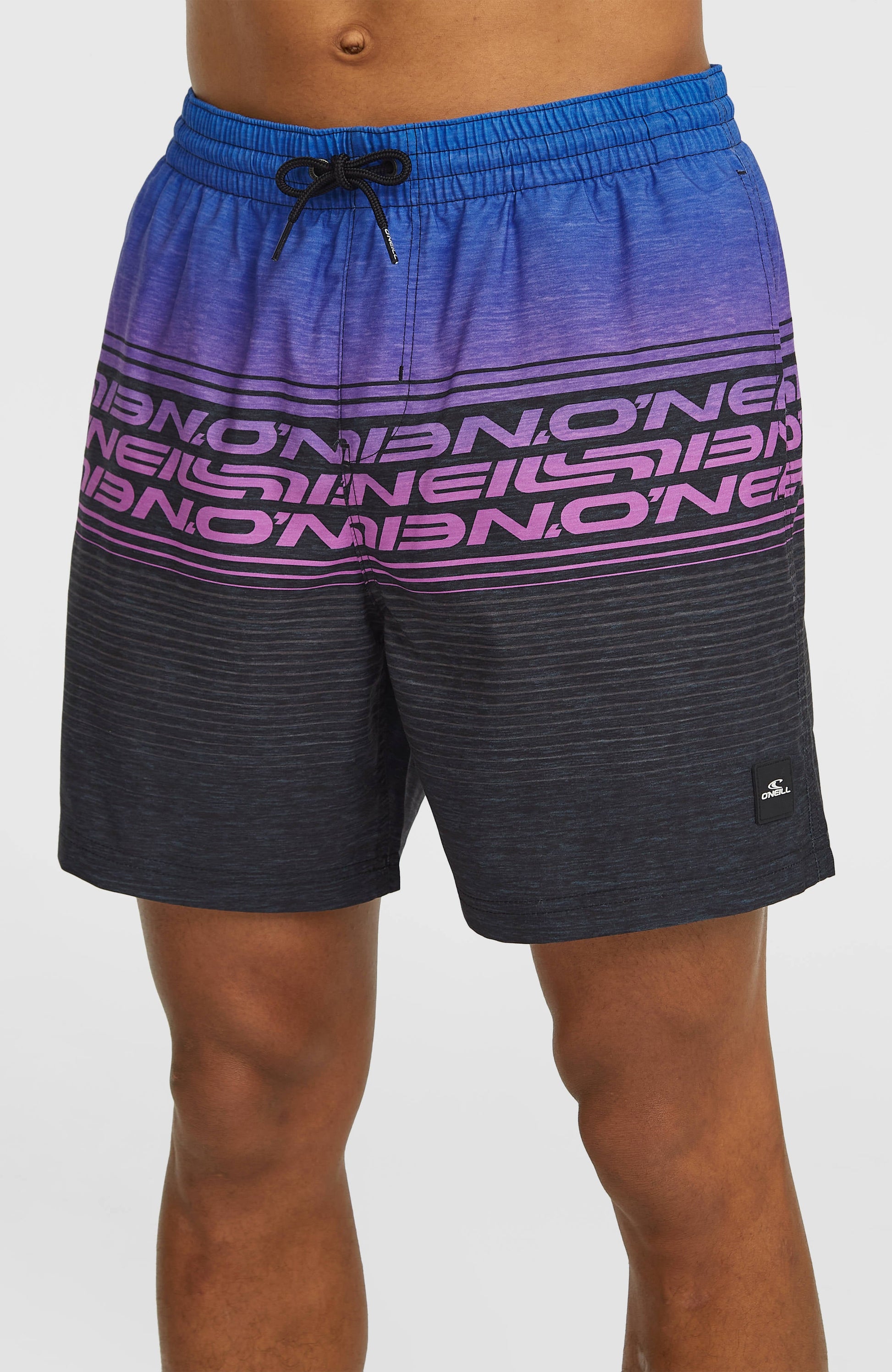 Logo Stripe 16'' Swimshorts Men Blue Heritage O'Neill Stripe