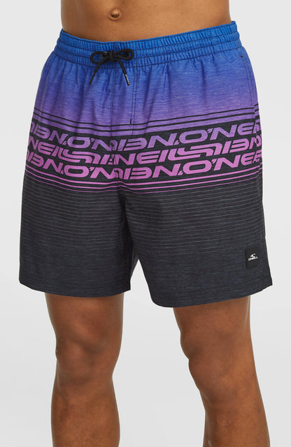 Logo Stripe 16'' Swimshorts Men Blue Heritage O'Neill Stripe
