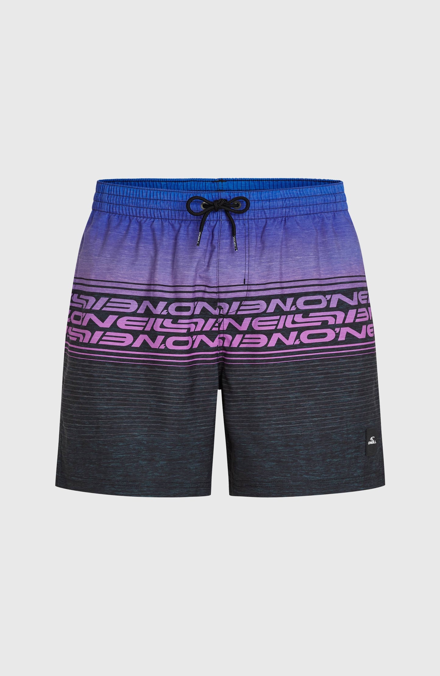 Logo Stripe 16'' Swimshorts Men Blue Heritage O'Neill Stripe