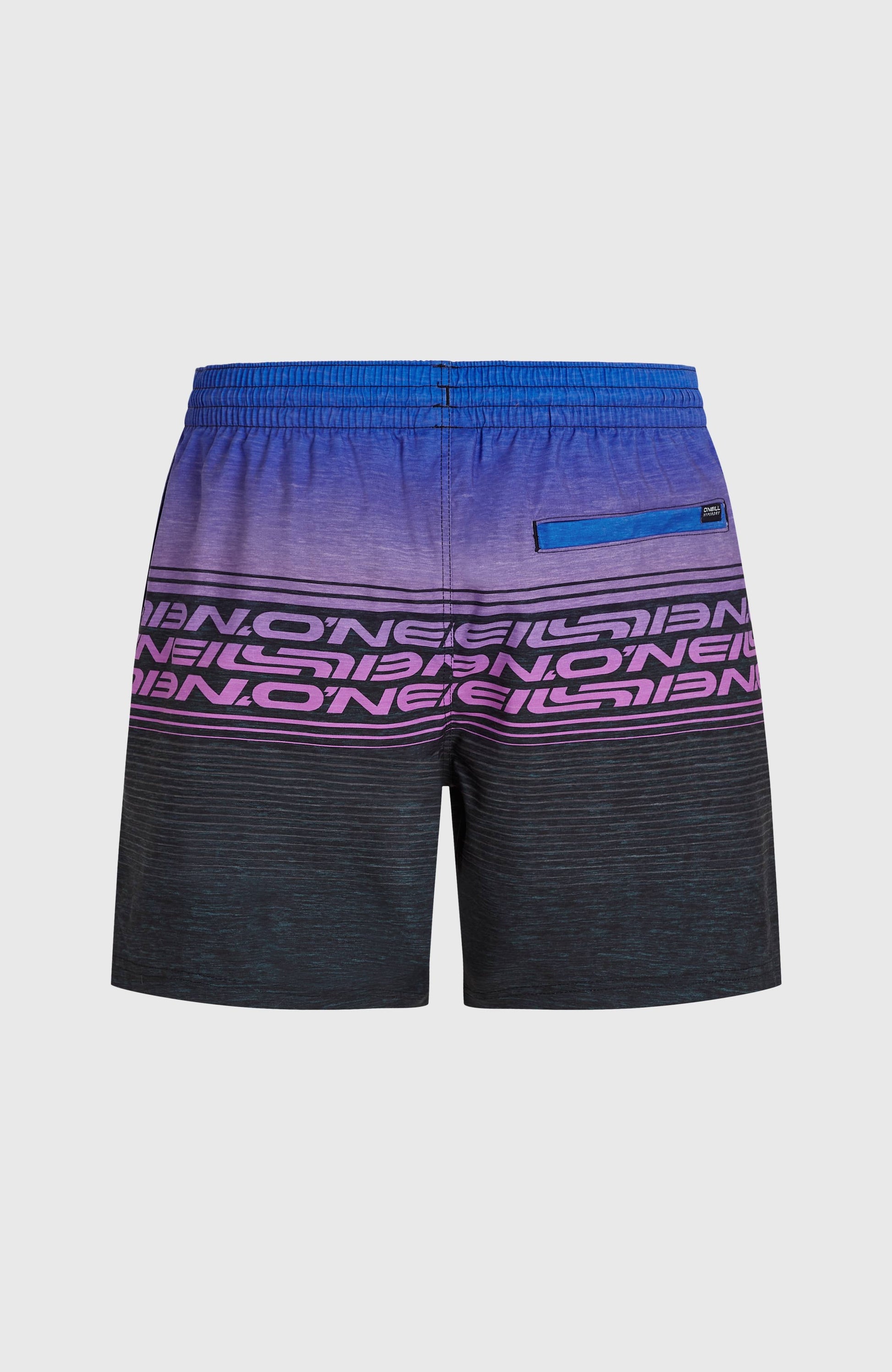 Logo Stripe 16'' Swimshorts Men Blue Heritage O'Neill Stripe