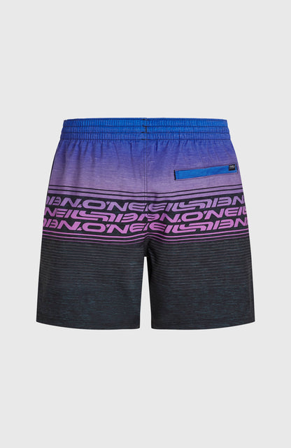 Logo Stripe 16'' Swimshorts Men Blue Heritage O'Neill Stripe