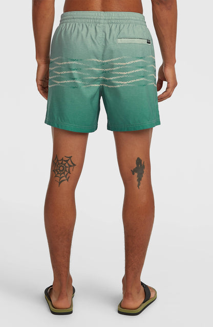O'Neill First 15'' Swimshorts Men Green Heritage O'Neill Flip
