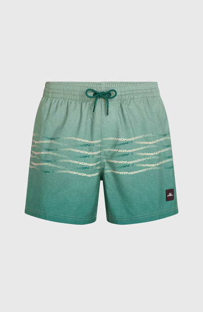O'Neill First 15'' Swimshorts Men Green Heritage O'Neill Flip