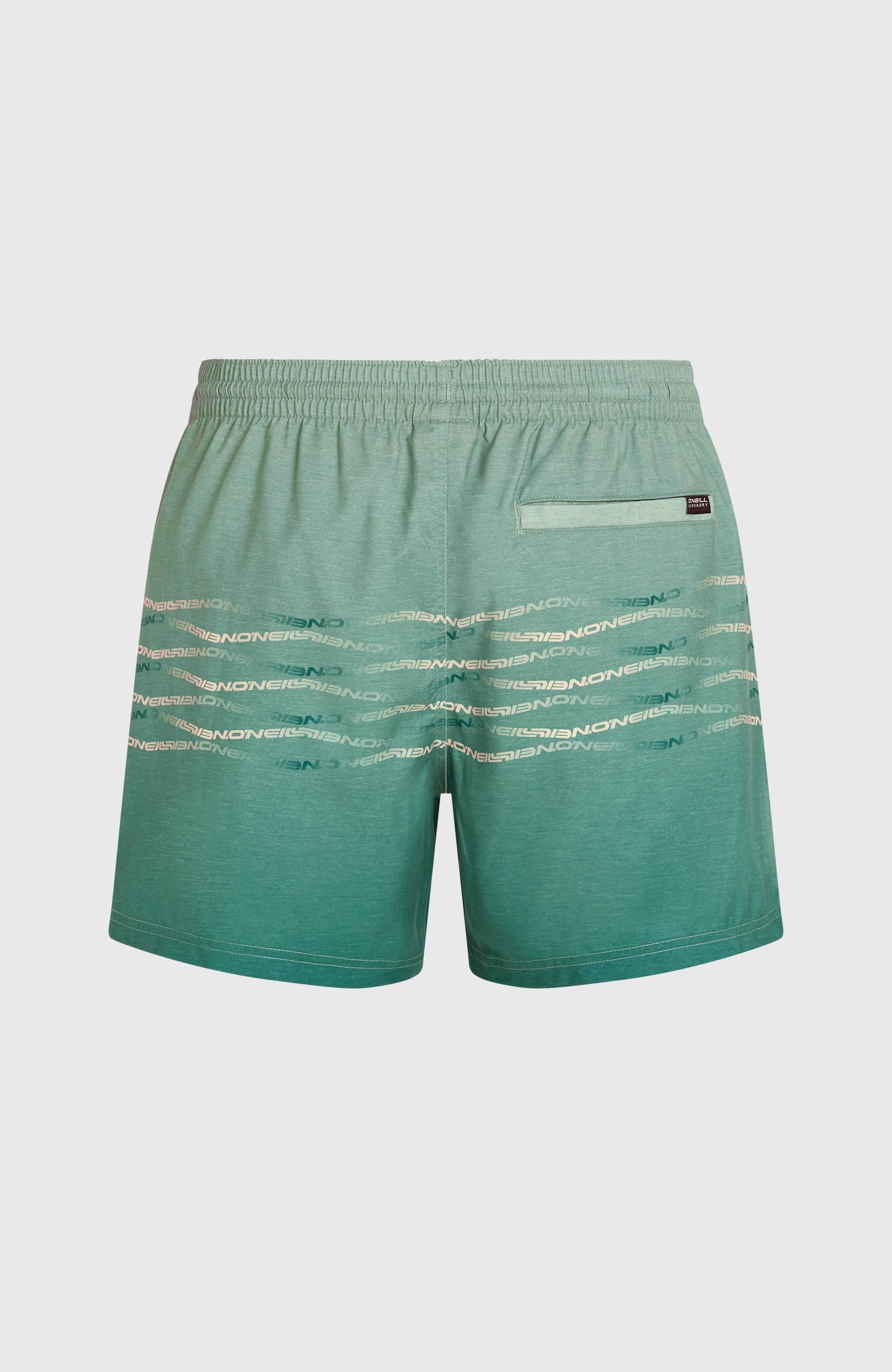 O'Neill First 15'' Swimshorts Men Green Heritage O'Neill Flip