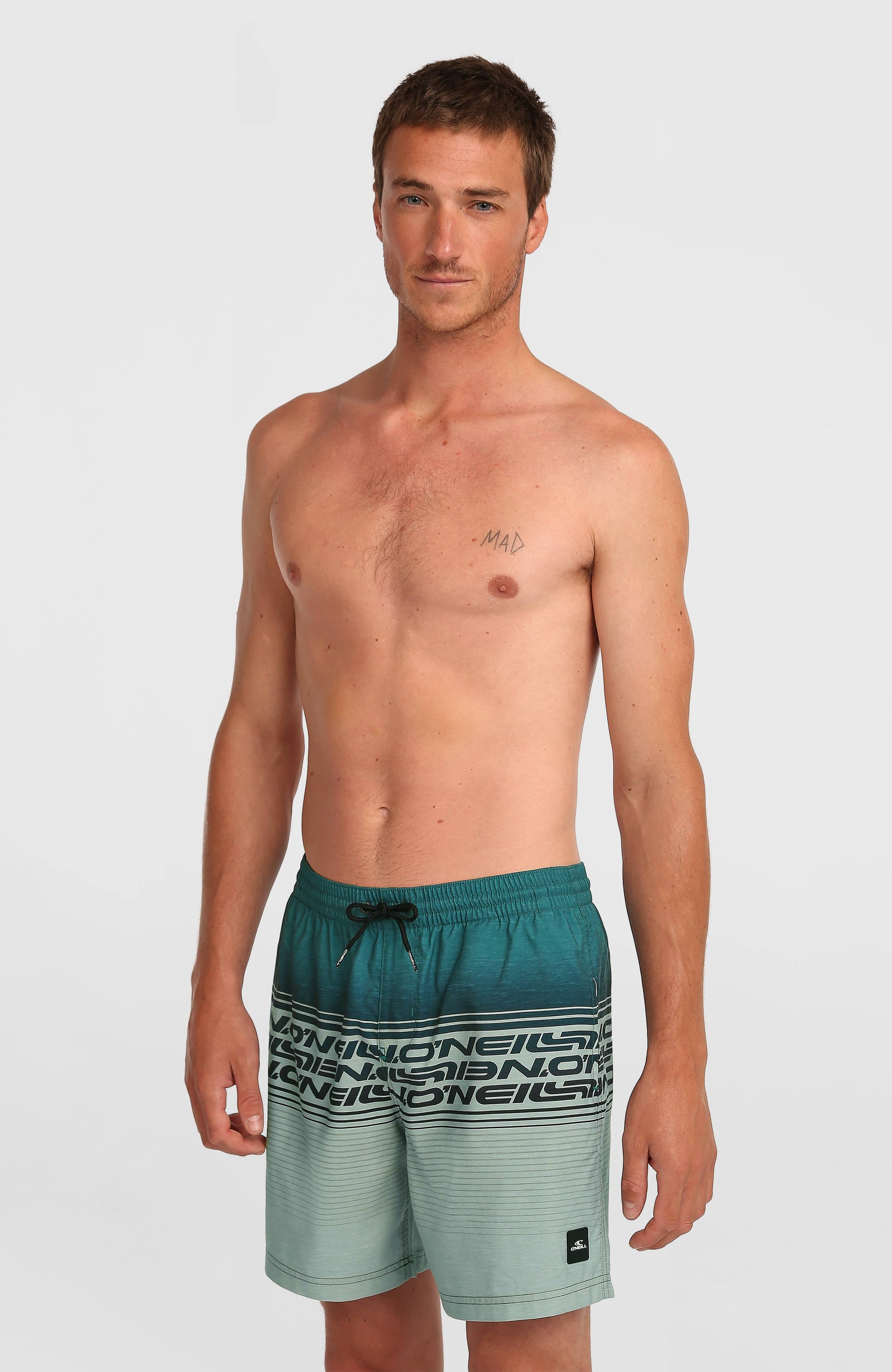 Logo Stripe 16'' Swimshorts Men Green Heritage Stripe