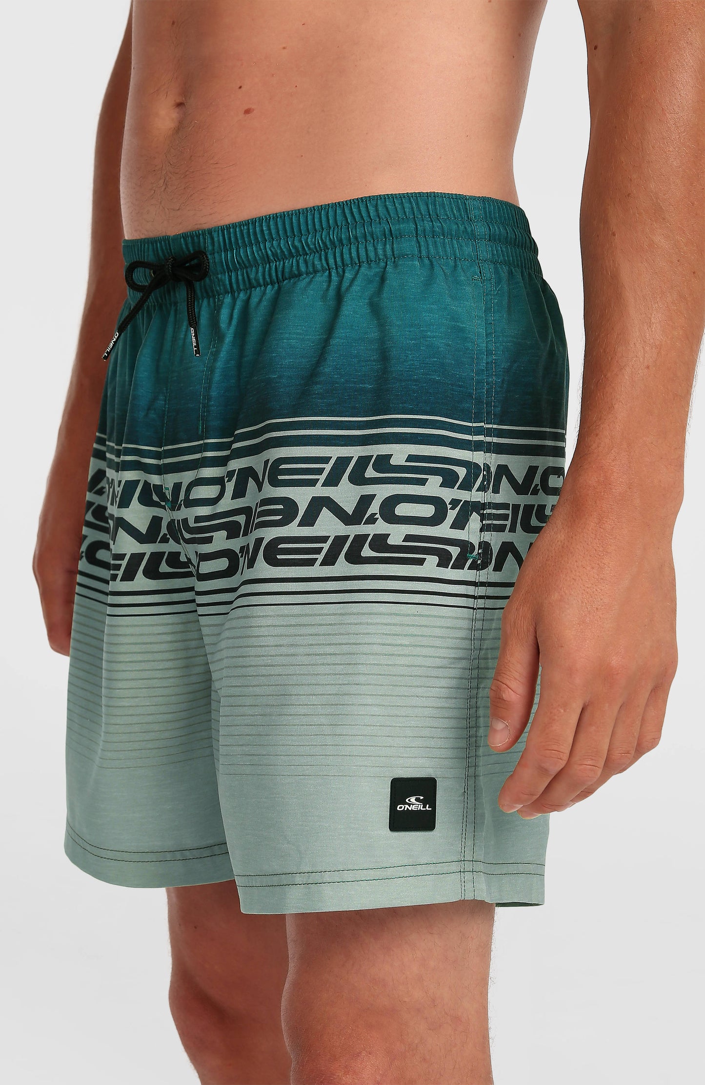 Logo Stripe 16'' Swimshorts Men Green Heritage Stripe