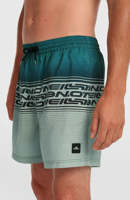 Logo Stripe 16'' Swimshorts Men Green Heritage Stripe