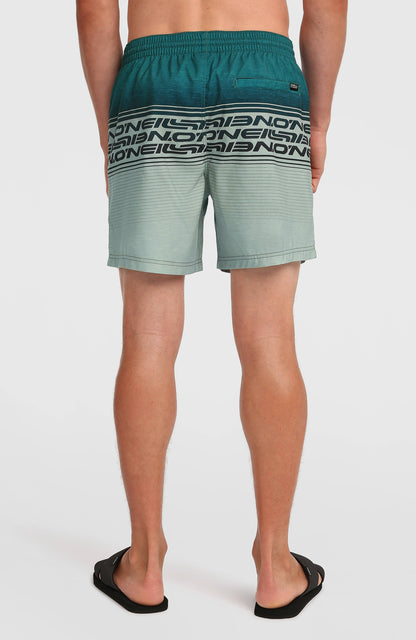Logo Stripe 16'' Swimshorts Men Green Heritage Stripe