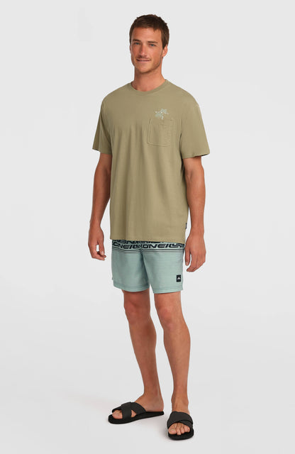 Logo Stripe 16'' Swimshorts Men Green Heritage Stripe