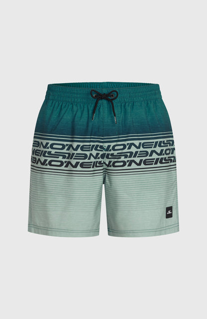 Logo Stripe 16'' Swimshorts Men Green Heritage Stripe