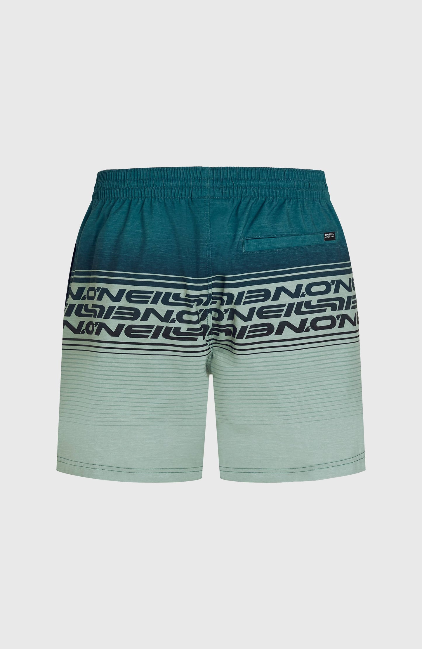 Logo Stripe 16'' Swimshorts Men Green Heritage Stripe