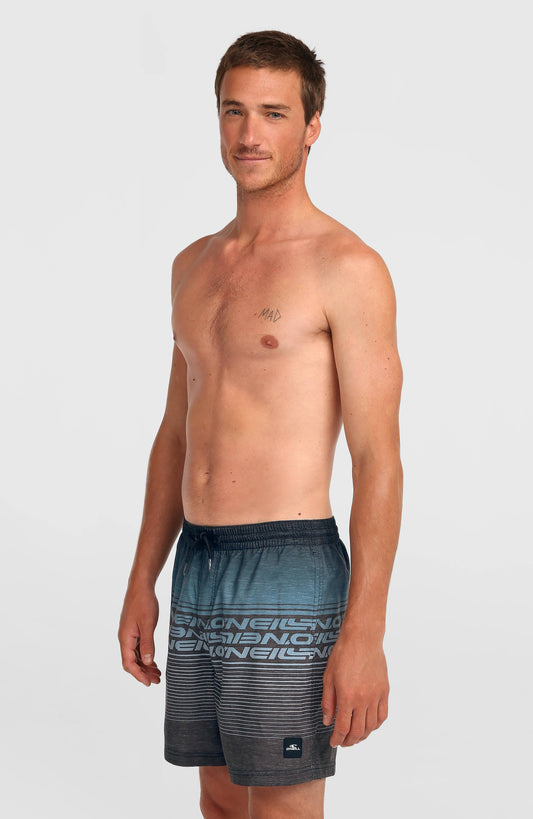 Logo Stripe 16'' Swimshorts Men Black Out Heritage O'Neill Stripe