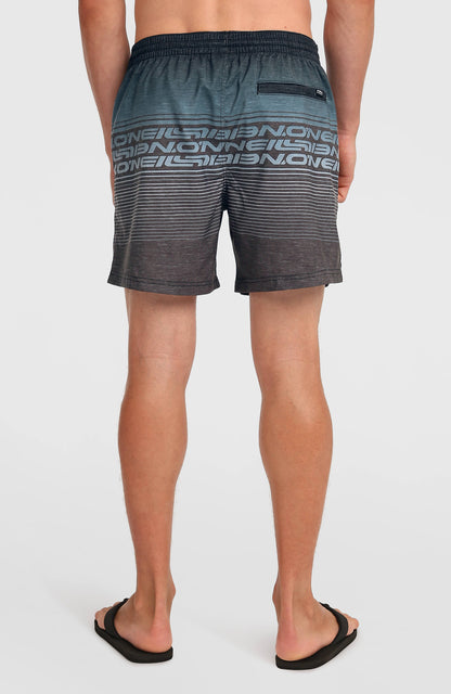 Logo Stripe 16'' Swimshorts Men Black Out Heritage O'Neill Stripe