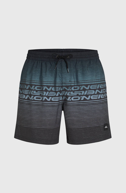 Logo Stripe 16'' Swimshorts Men Black Out Heritage O'Neill Stripe