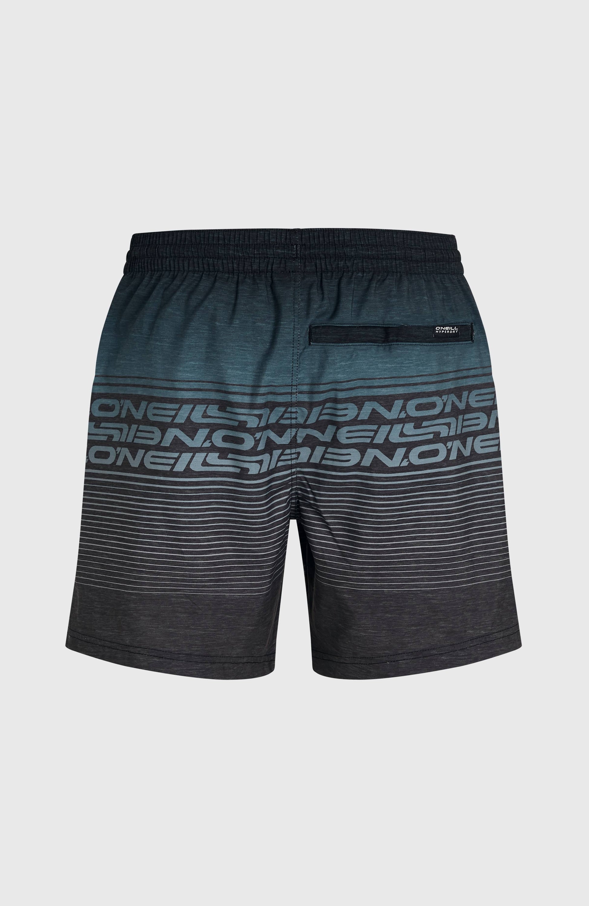 Logo Stripe 16'' Swimshorts Men Black Out Heritage O'Neill Stripe