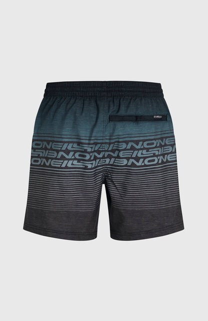 Logo Stripe 16'' Swimshorts Men Black Out Heritage O'Neill Stripe