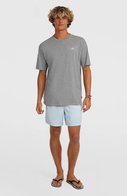 O'Neill Vert 16'' Swimshorts Men Spindle