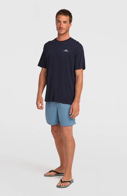 O'Neill Vert 16'' Swimshorts Men Copen Blue