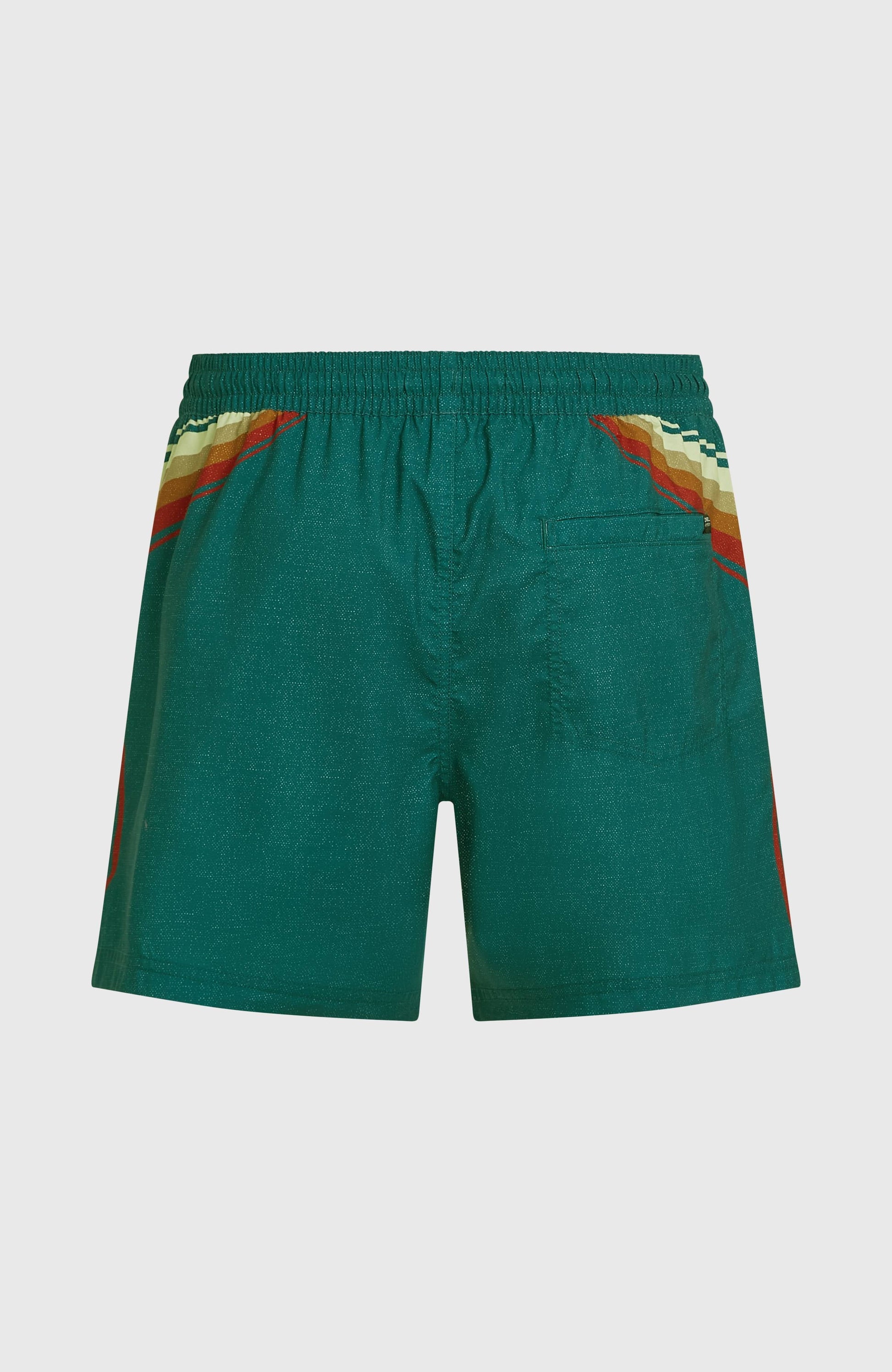 O'Riginals Longboards 15'' Swimshorts Men Green Originals Sideburns