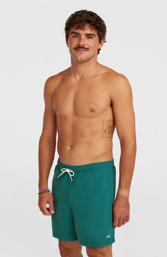 O'Neill Vert 16'' Swimshorts Men Botanical Heat