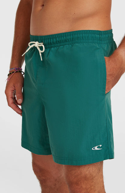 O'Neill Vert 16'' Swimshorts Men Botanical Heat