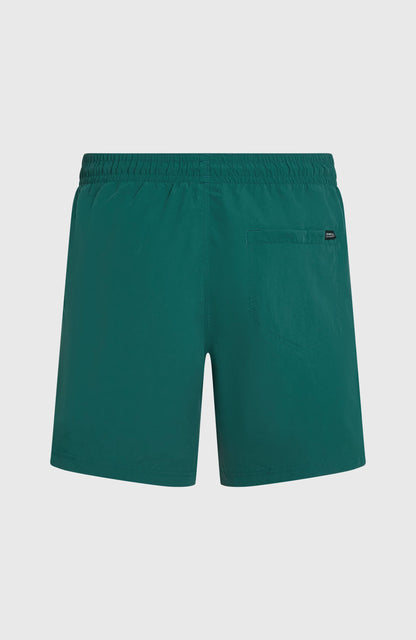 O'Neill Vert 16'' Swimshorts Men Botanical Heat