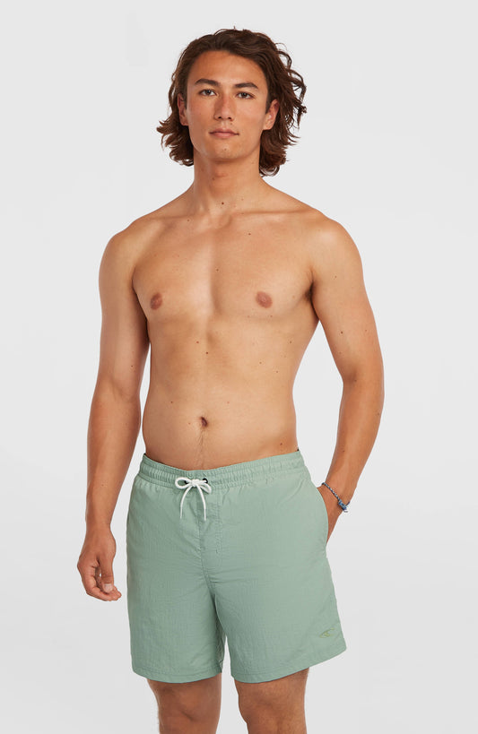 O'Neill Vert 16'' Swimshorts Men Marble Arch