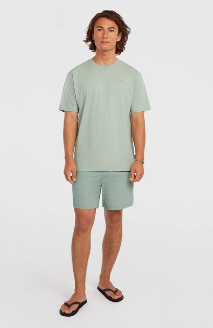 O'Neill Vert 16'' Swimshorts Men Marble Arch