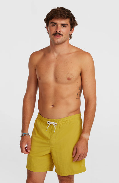 O'Neill Vert 16'' Swimshorts Men Angel Fern