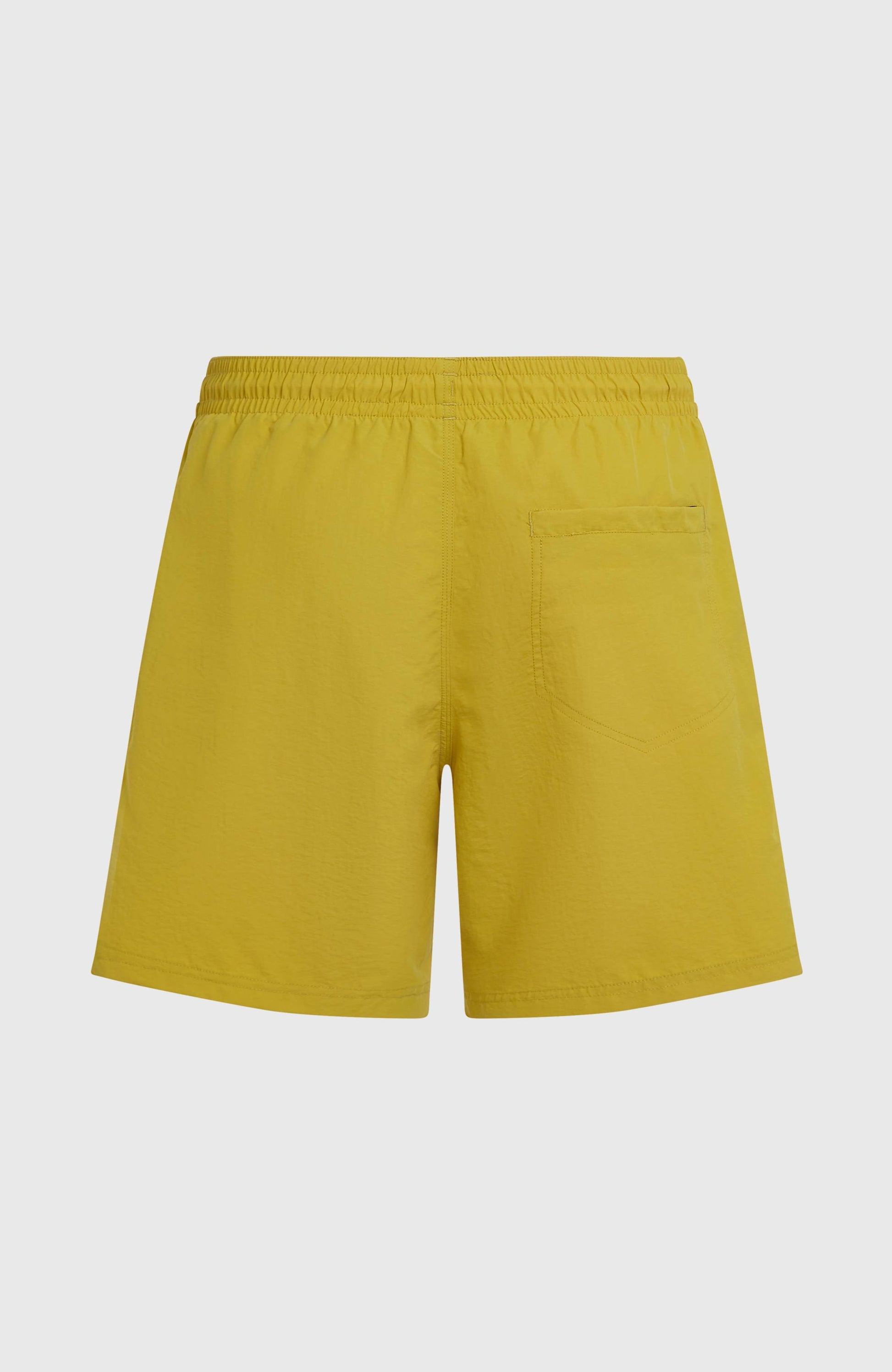 O'Neill Vert 16'' Swimshorts Men Angel Fern