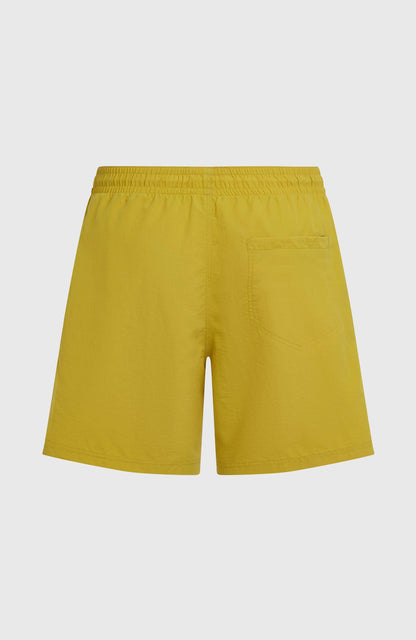 O'Neill Vert 16'' Swimshorts Men Angel Fern