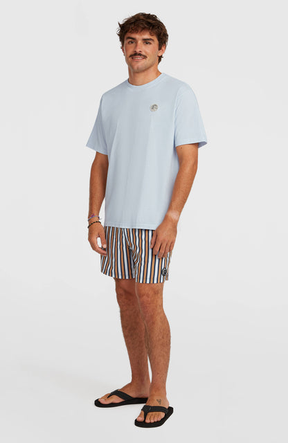 O'Riginals Stripe 15'' Swimshorts Men Blue Originals stripe