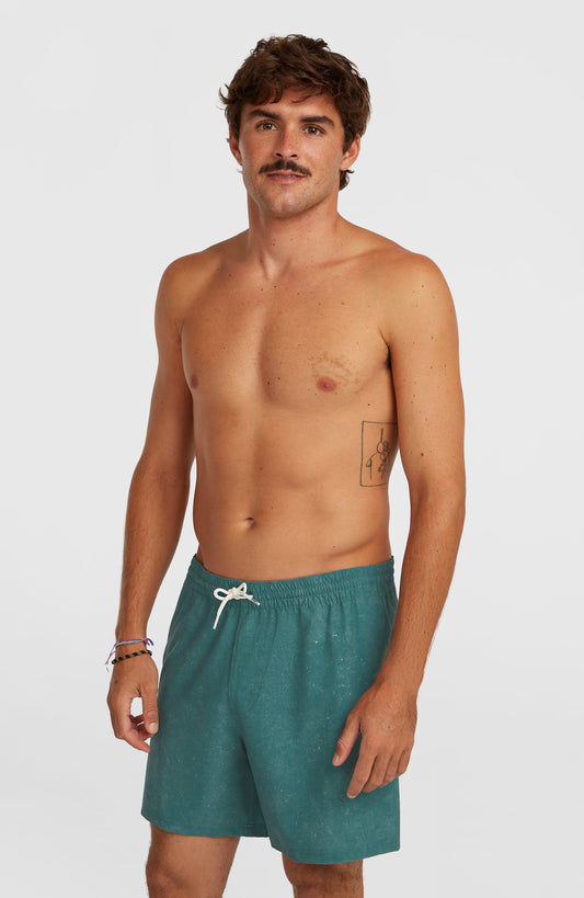 O'Riginals Cali Ocean 16'' Swimshorts Men Green Originals Acid Wash