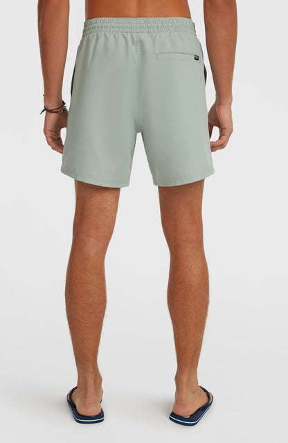 O'Neill Cali 16'' Swimshorts Men Marble Arch