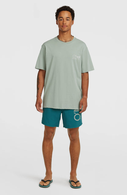 O'Neill Cali 16'' Swimshorts Men Botanical Heat