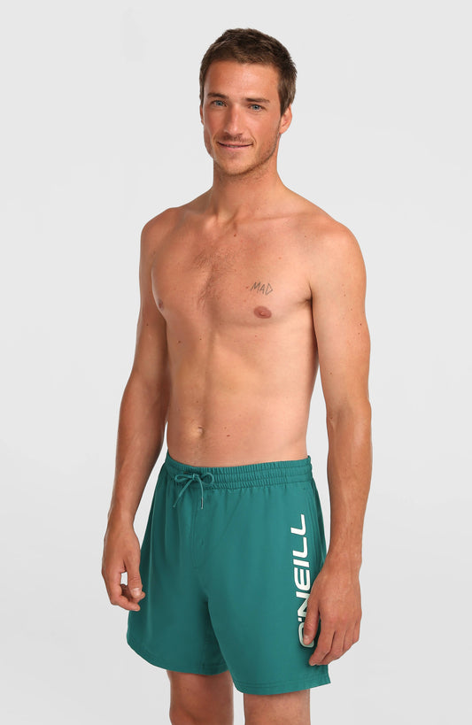 O'Neill Logo 16'' Swimshorts Men Botanical Heat