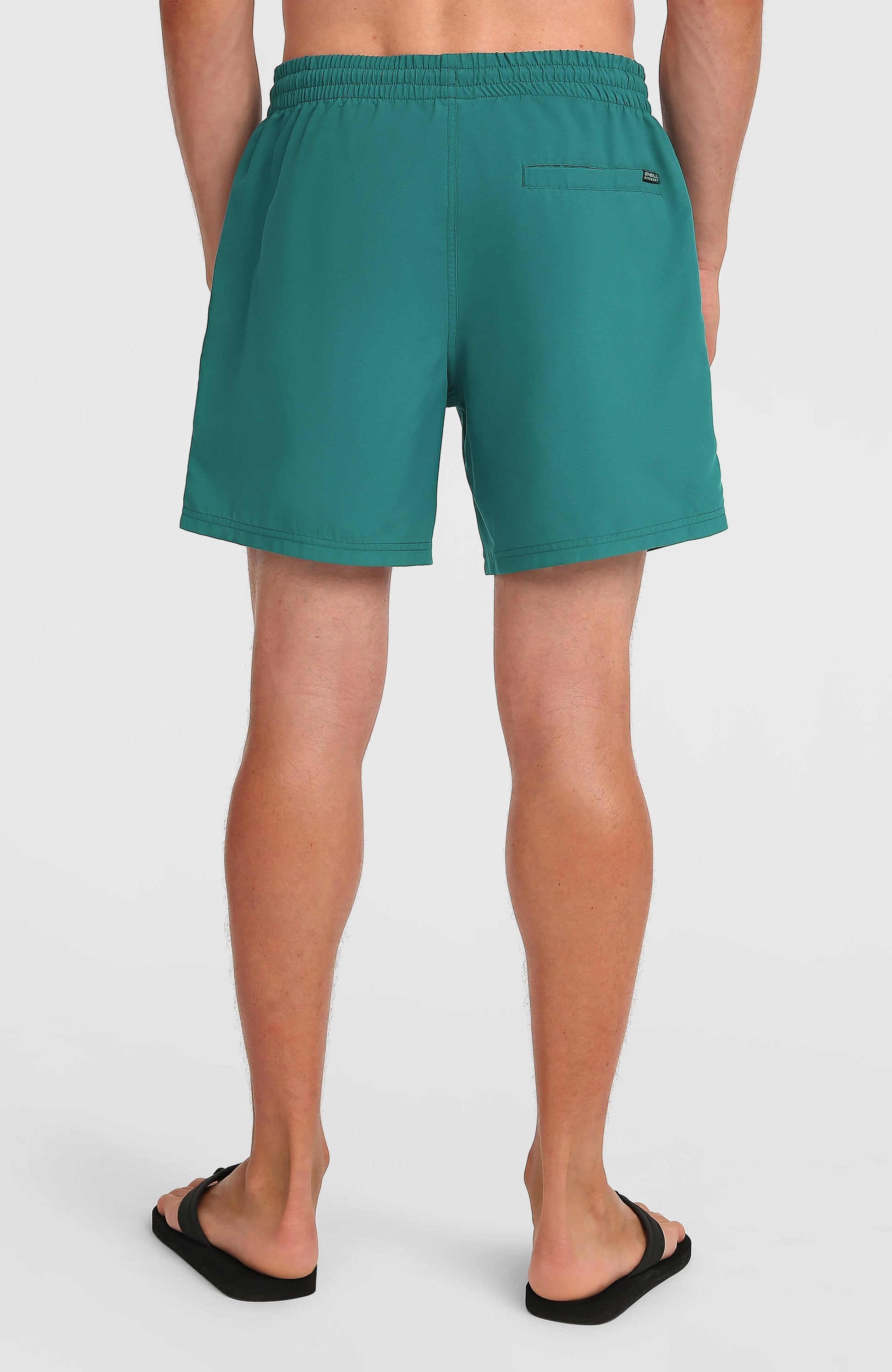 O'Neill Logo 16'' Swimshorts Men Botanical Heat