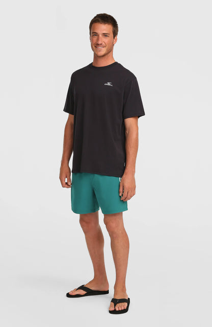 O'Neill Logo 16'' Swimshorts Men Botanical Heat