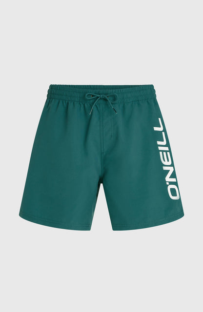 O'Neill Logo 16'' Swimshorts Men Botanical Heat