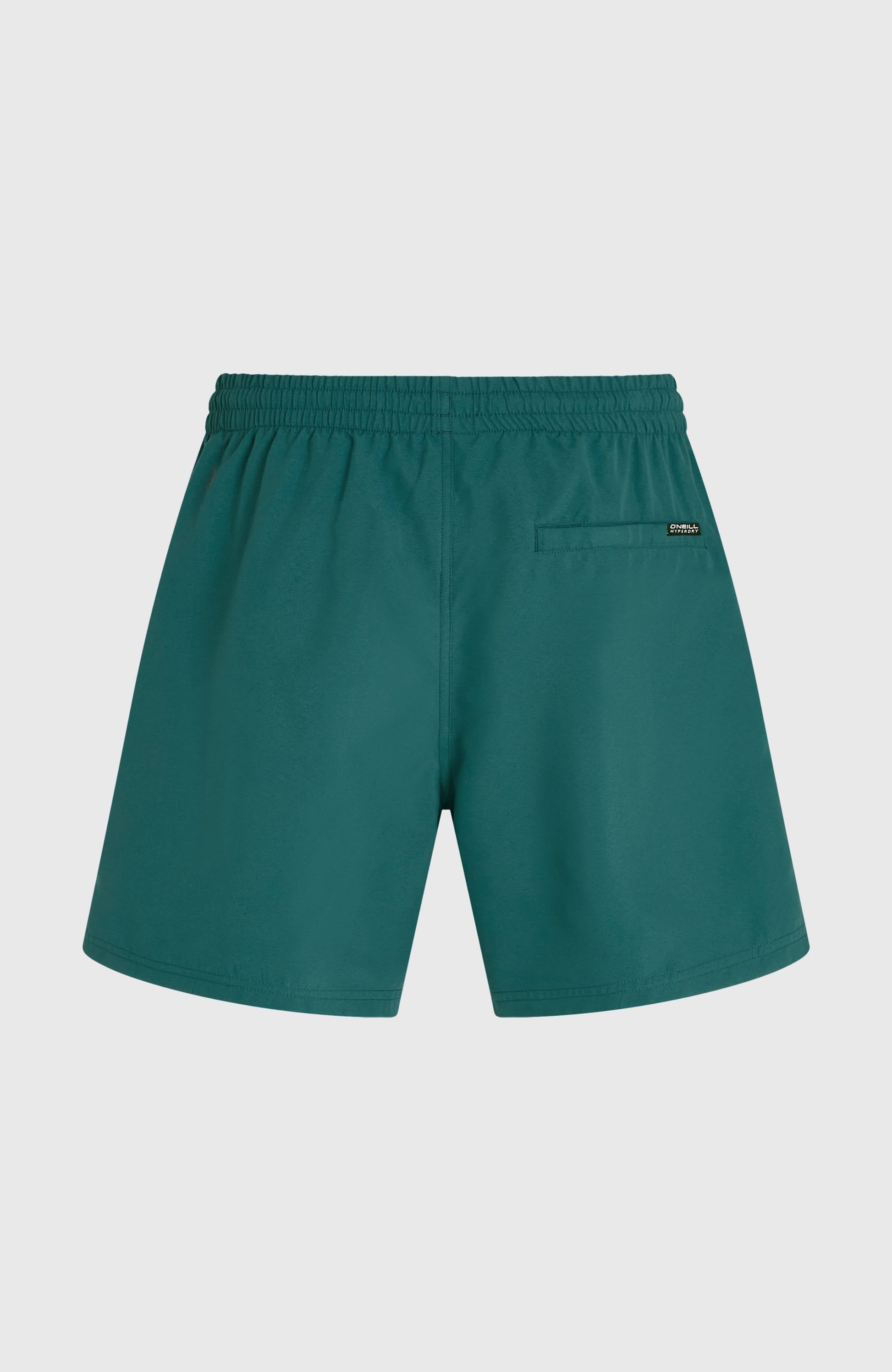O'Neill Logo 16'' Swimshorts Men Botanical Heat