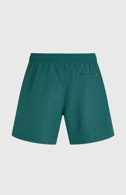 O'Neill Logo 16'' Swimshorts Men Botanical Heat