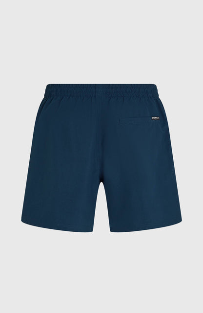 O'Neill Logo 16'' Swimshorts Men English Evening