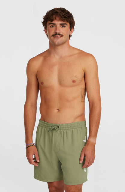 O'Neill Logo 16'' Swimshorts Men Avery Fern