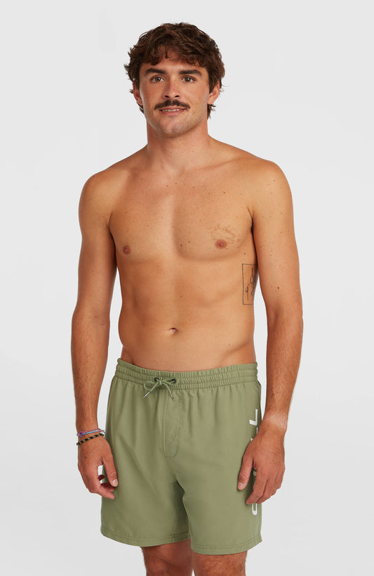 O'Neill Logo 16'' Swimshorts Men Avery Fern