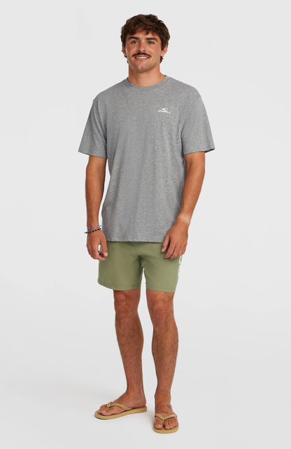 O'Neill Logo 16'' Swimshorts Men Avery Fern