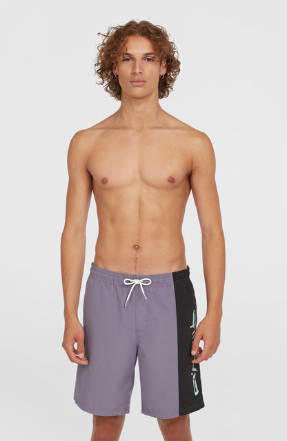Retro 19'' Swim Shorts Men Storm Colour Block