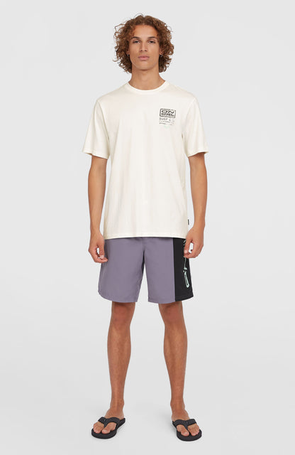 Retro 19'' Swim Shorts Men Storm Colour Block