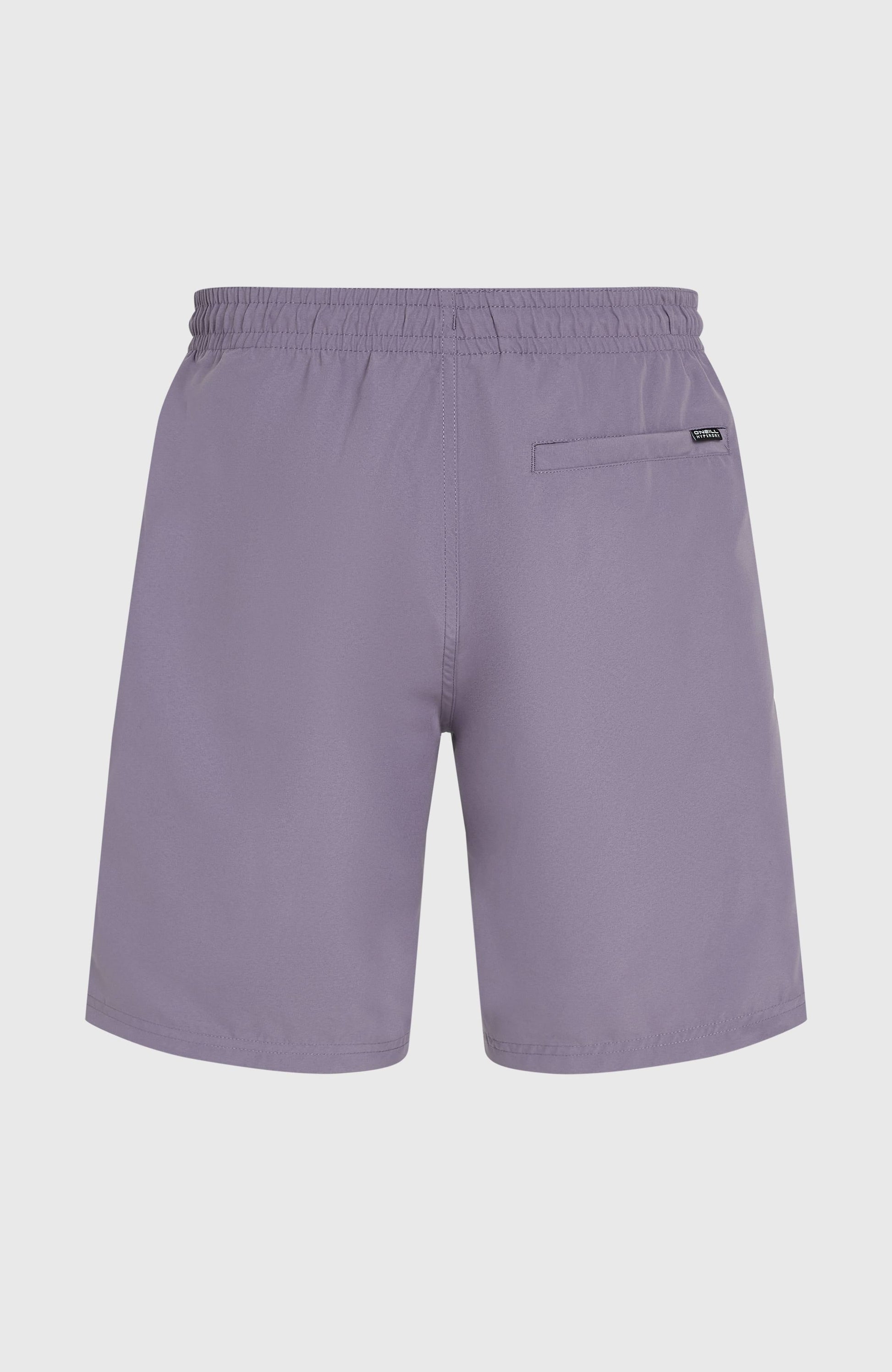 Retro 19'' Swim Shorts Men Storm Colour Block