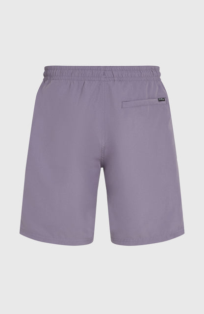 Retro 19'' Swim Shorts Men Storm Colour Block
