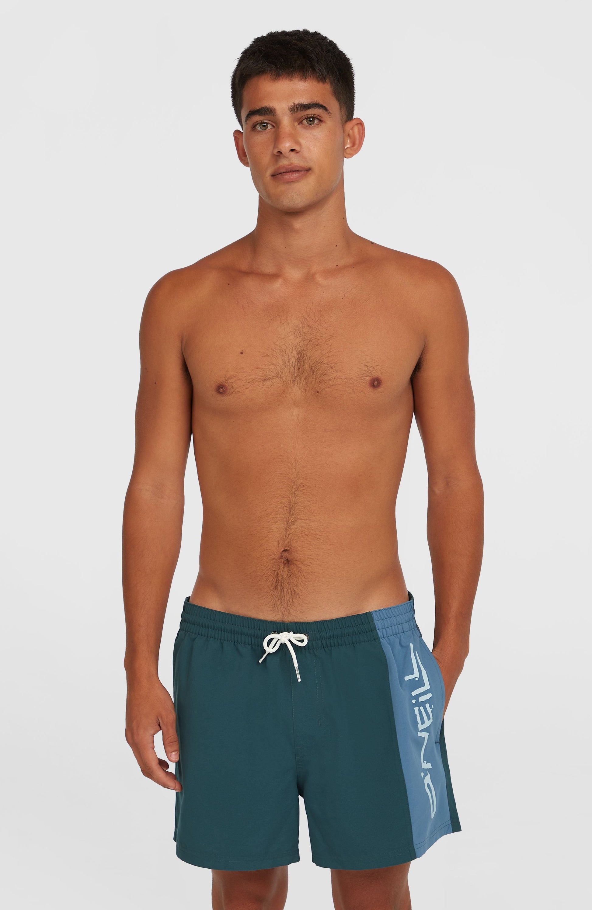 Retro 14'' Swim Shorts Men Alma Steel Colour Block